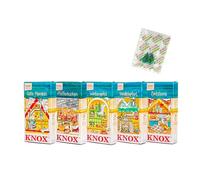 KNOX Weihnachtbäckerei Lot de 5 cônes d'encens - Parfums : étoiles à la cannelle, croquette vanille, pomme d'hiver, gâteau au poivre et amandes douces - Quantité : 120 pièces - Fabriqué en Allemagne