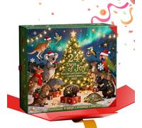 Koala Compte à rebours 2D 24 jours Compte à rebours Animaux Calendrier Compte à rebours Animaux Pour Bébés Adultes Famille Noël Salle de ureau Mural Arbre