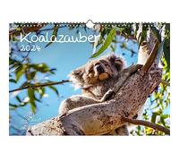 Koalazauber Calendrier format A3 pour 2024 Motif ours Koala