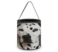 KOAYUBFC Seau à bonbons d'Halloween représentant un tour dalmatien ou sacs à friandises d'Halloween avec poignées, paniers à bonbons réutilisables pour Halloween, fournitures de fête, sacs cadeaux