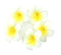KOFUN Artificielle Frangipanier Fleur pour Le Mariage, 5 Pcs Lot Plumeria Hawaïen Mousse Frangipanier Fleur De Noël Partie Décoration De Fête De Mariage Décoration en Épingle À Cheveux, Jaune Clair