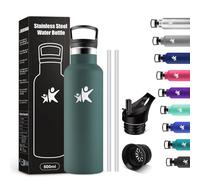 KollyKolla Bouteille d'eau en Acier Inoxydable 500ml, Gourde Enfant avec en Paille, Bouteille Isotherme Double Paroi, sans BPA, Anti Fuite et Réutilisable, Gourde pour Enfant, Adulte, l'école