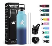 KollyKolla Gourde Inox 750ml, Gourde avec en Paille, Isolation À Double Paroi Sous Vide, sans BPA, Anti Fuite et Réutilisable, Bouteille Isotherme pour Bureau, Camping, Travail, Voyage, Randonnée