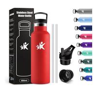 KollyKolla Gourde Isotherme 500ml, Bouteille Isotherme avec Paille, Double Paroi Isolante, Anti Fuite, Bouteille Reutilisable, sans BPA, pour Enfant, Adulte, l'école, Travail, Voyage, Jogging