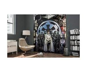 'Komar 009 de dvd2 Star Wars Papier peint photo non tissé de"Star Wars Empire, dimensions 200 x 275 cm (Largeur x hauteur), 2 Chemins, avec colle, multicolore Multicolore G