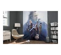 'Komar 031 de dvd2 Star Wars Papier peint photo non tissé de "Star Wars Last Hope, Taille 200 x 250 cm (Largeur x hauteur), 2 Chemins, avec colle, multicolore
