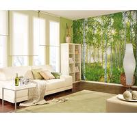 Komar 8-519 368 x 254 cm NATIONAL GEOGRAPHIC Dimanche printemps Arbre Bouleau Forêt Papier peint - Vert (Lot de 8)