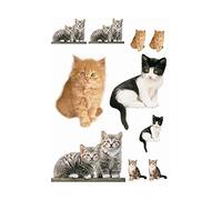 Komar Deco-Sticker KITTY | 50 x 70 cm | Sticker mural, décoration murale, sticker mural, sticker mural, chat, chats, animaux, bébé | 17010h
