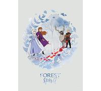 Komar Frozen Spirit - Taille : 50 x 70 cm Tableau mural, poster (sans cadre) - Disney