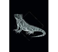 Komar Iguana Black Tableau Mural avec Cadre en Trois Tailles, Noir/Blanc, P077D-30x40