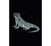 Komar Iguana Black Tableau Mural avec Cadre en Trois Tailles, Noir/Blanc, P077D-50x70