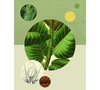 Komar Image Murale Structure Verte | Poster Photo Salon Chambre Décoration Art Print | sans Cadre | P054-40x50 | Dimensions : 40 x 50 cm (Largeur x Hauteur)