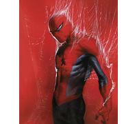 Komar Marvel Spider-Man Through the Spider Web Tableau mural pour chambre d'enfant 40 x 50 cm