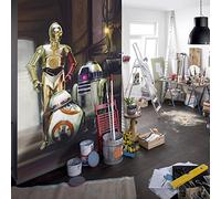 Papier Peint droïde Star Wars Le Réveil de la Force les 3 robots 254X184 CM