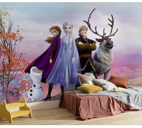 Komar Papier peint photo non tissé Motif Disney La Reine des Neiges Anna Elsa Dimensions 336 x 240 cm Largeur 50 cm