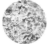 Komar papier peint rond autocollant Echeveria gris clair - 611156 - Ø 128 cm
