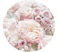 Komar papier peint rond autocollant Pink and Cream Roses rose clair - 611158 - Ø 125 cm