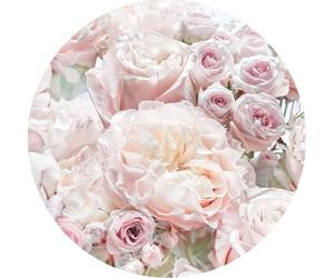 Komar papier peint rond autocollant Pink and Cream Roses rose clair - 611158 - Ø 125 cm