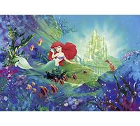 Komar Photo Murale, 368cm x 254cm, Ariel's Castle, 8-4021