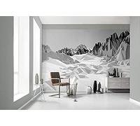Komar Photo Murale, 368cm x 254cm, Champs Glace, 8-208