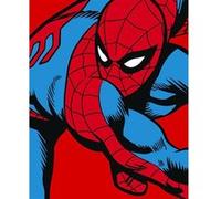 KOMAR Photo murale intissé - Spider Man multicolore G