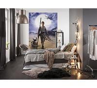 Komar Photo Murale sur Papier, 184cm x 254cm, Star Wars Rey