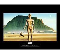 Komar Poster d'Art Mural, 40cm x 30cm, Star Wars Classique RMQ Droids