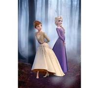KOMAR Poster Disney La Reine des Neiges 2 - Anna et Elsa se promènent en forêt 50 cm x 70 cm Multicolors G