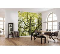 Komar Poster XXL Impression Numérique, 450cm x 280cm, La Transformation