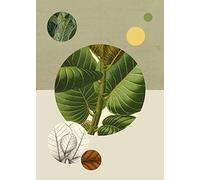 Komar PURE Boutique - Structure verte - Dimensions : 50 x 70 cm