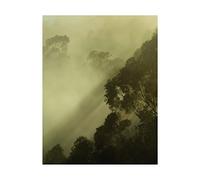 Komar Tableau Mural avec lumière dorée - Impression d'art sans Cadre PSH100-40 x 50 cm - Dimensions : 40 x 50 cm (l x H)