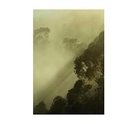 Komar Tableau Mural avec lumière dorée - Impression d'art sans Cadre PSH100-50 x 70 cm - Dimensions 50 x 70 cm (l x H)