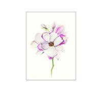 Komar Tableau Mural Motif Fleur de Magnolia - Impression d'art sans Cadre - P073C-40 x 50 cm - Dimensions : 40 x 50 cm (l x H)