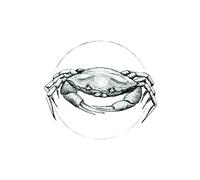 Komar WTD P080A P080A Impression Murale sans Cadre Blanc 40 x 50 cm (l x H)