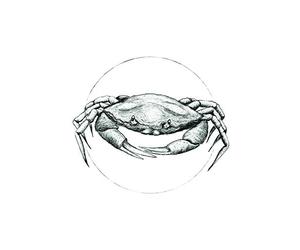 Komar WTD P080A P080A Impression Murale sans Cadre Blanc 40 x 50 cm (l x H)