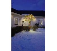 Konstsmide 3632-500 Micro guirlande lumineuse pour l'extérieur sur secteur Nombre de lumière 180 LED multicolore Longue