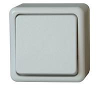 Kopp 514302007 Bouton Standard Montage en saillie 10 A 250 V