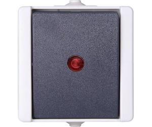 Kopp 541656003 1 pièce Gamme d'interrupteurs anti-humidité Interrupteur de commande complet proAQA gris