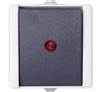 Kopp 541656003 1 pièce Gamme d'interrupteurs pour pièce humide complet Interrupteur avec témoin lumineux proAQA gris 1 pc(s)