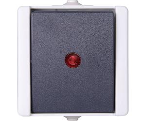 Kopp 541656003 1 pièce Gamme d'interrupteurs pour pièce humide complet Interrupteur avec témoin lumineux proAQA gris 1 pc(s)