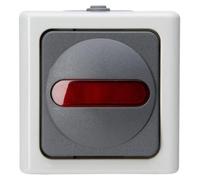 Kopp Blue Electric Interrupteur de contrôle en saillie pour locaux humides