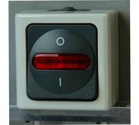 Kopp Blue Electric Interrupteur principal de chauffage en saillie Interrupteur d'urgence