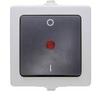 Kopp Interrupteur 2 pôles lumineux Nautic 565296007 montage en saillie pour locaux humides gris