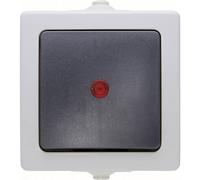 Kopp Interrupteur de contrôle éclairé Nautic 566656002 AP/FR Gris Quantité 1