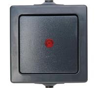 Kopp Interrupteur Nautic 566615003 - IP44 250 V (10 A) - Anthracite - Saillie - 1 pc