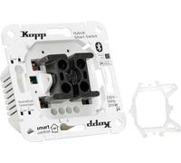Kopp Smart-Control 833502012 Variateur d'intensité hybride universel avec prise universelle pour Kopp et différents fabricants d'interrupteurs, Smart Home, Amazon Alexa, Google Home