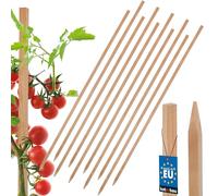 KOTARBAU® 10 Pièces Tuteur Tomate - Bois de Hêtre - 150 cm - Naturel - Tuteur Plante - Piquet de Jardin - Poteau Bois - Piquet Tomate - Support Plante Grimpante