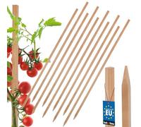 KOTARBAU® 10 Pièces Tuteur Tomate - Bois de Hêtre - 80 cm - Naturel - Tuteur Plante - Piquet de Jardin - Poteau Bois - Piquet Tomate - Support Plante Grimpante