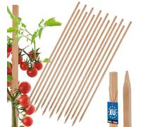 15 Pièces Tuteur Tomate - KOTARBAU® - Bois de Hêtre - 150cm - Naturel - Poteau Bois