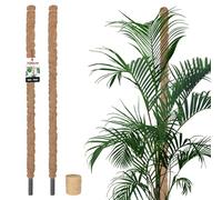 KOTARBAU® 2 pcs Tuteur Plante - Tuteur Coco - ⌀ 2.5 x 100 cm - Fibre de Coco - Tuteurs pour Monstera - Marron - pour Plantes Grimpantes